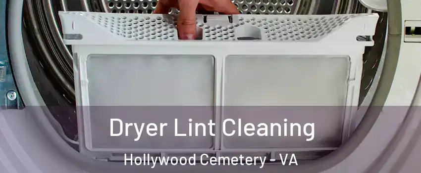 Dryer Lint Cleaning Hollywood Cemetery - VA