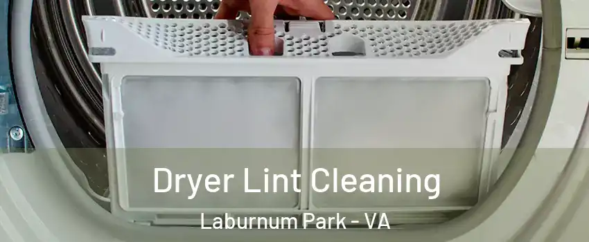 Dryer Lint Cleaning Laburnum Park - VA