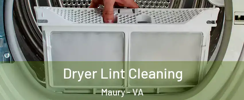 Dryer Lint Cleaning Maury - VA