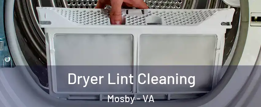 Dryer Lint Cleaning Mosby - VA