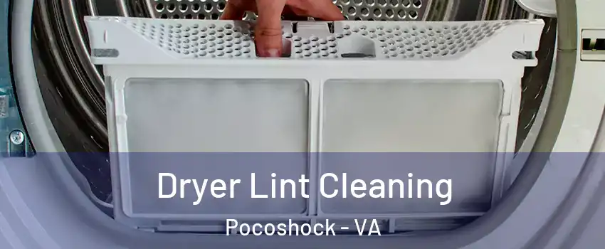 Dryer Lint Cleaning Pocoshock - VA