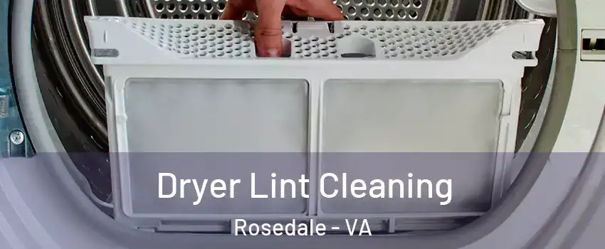 Dryer Lint Cleaning Rosedale - VA