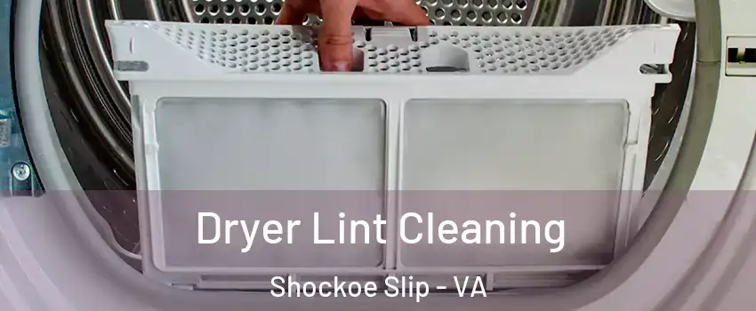 Dryer Lint Cleaning Shockoe Slip - VA