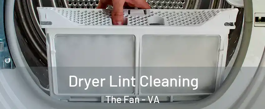Dryer Lint Cleaning The Fan - VA