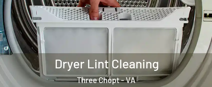 Dryer Lint Cleaning Three Chopt - VA