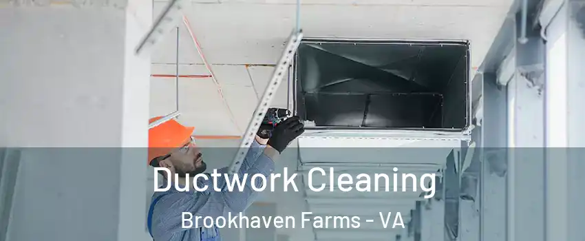 Ductwork Cleaning Brookhaven Farms - VA