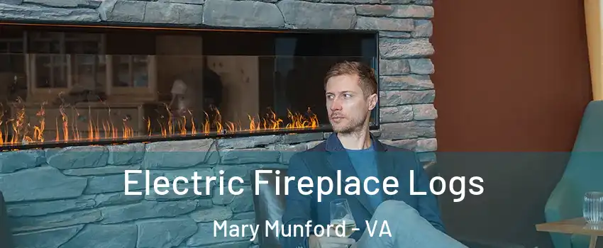 Electric Fireplace Logs Mary Munford - VA