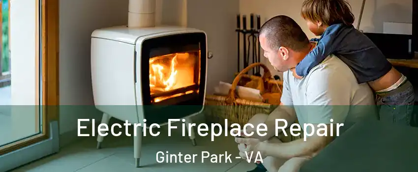 Electric Fireplace Repair Ginter Park - VA