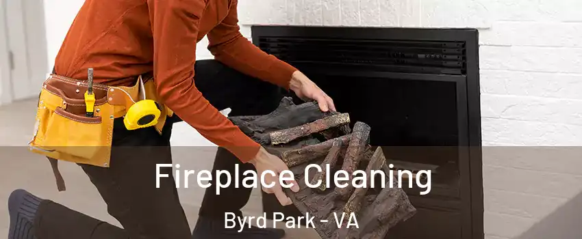 Fireplace Cleaning Byrd Park - VA