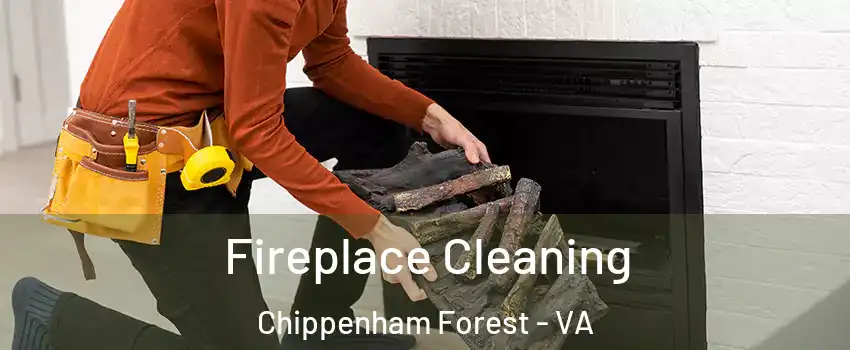 Fireplace Cleaning Chippenham Forest - VA