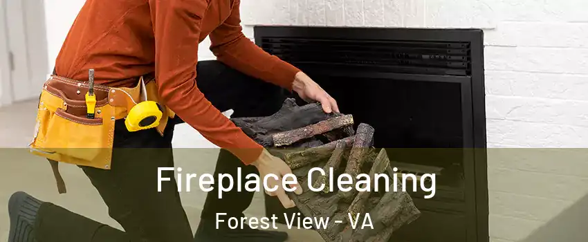 Fireplace Cleaning Forest View - VA