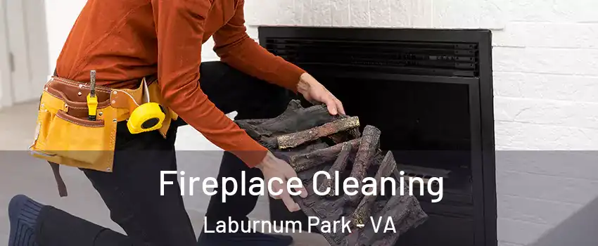 Fireplace Cleaning Laburnum Park - VA