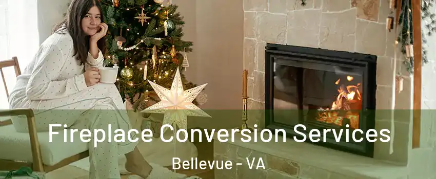 Fireplace Conversion Services Bellevue - VA