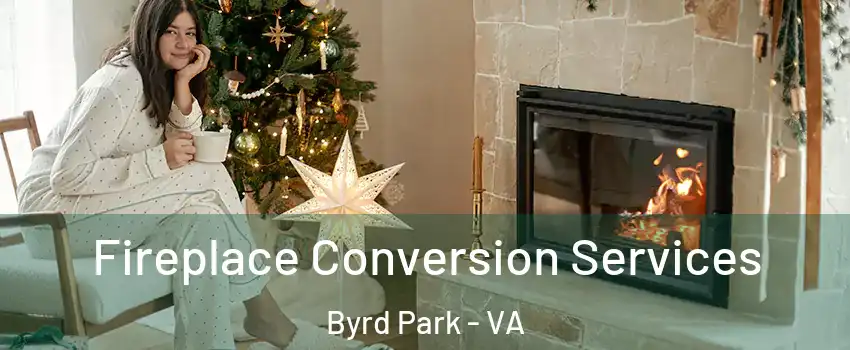 Fireplace Conversion Services Byrd Park - VA