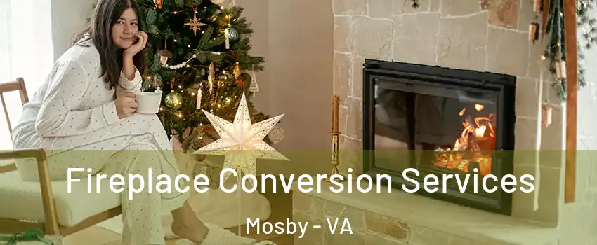 Fireplace Conversion Services Mosby - VA