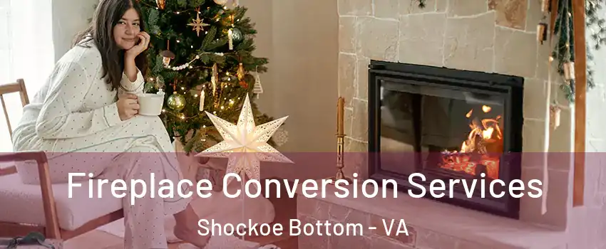 Fireplace Conversion Services Shockoe Bottom - VA
