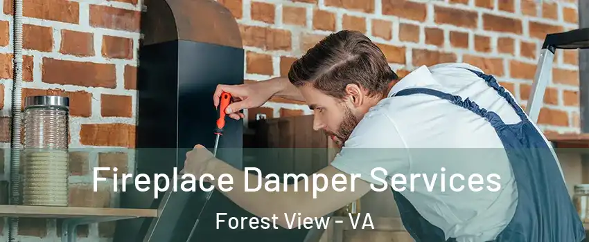 Fireplace Damper Services Forest View - VA