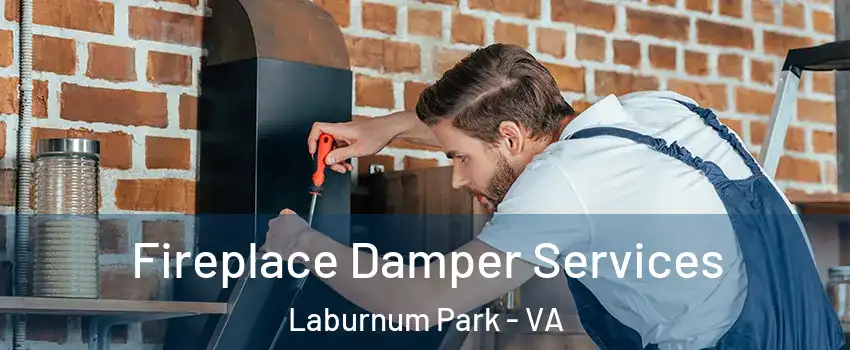 Fireplace Damper Services Laburnum Park - VA