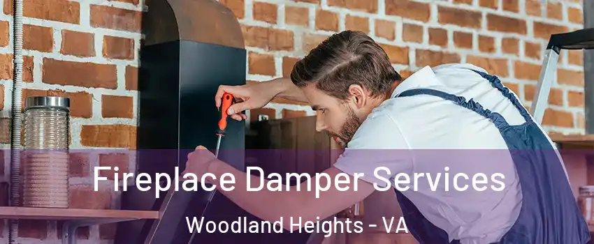 Fireplace Damper Services Woodland Heights - VA