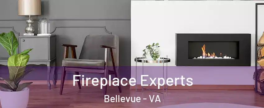 Fireplace Experts Bellevue - VA