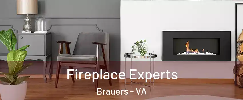 Fireplace Experts Brauers - VA