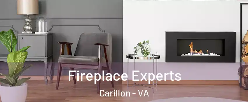Fireplace Experts Carillon - VA