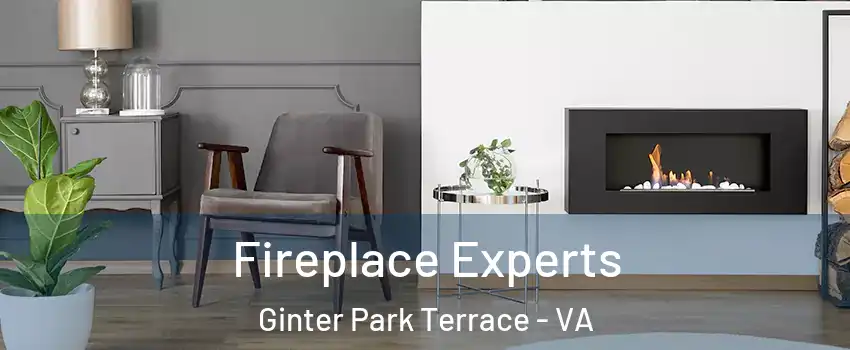 Fireplace Experts Ginter Park Terrace - VA