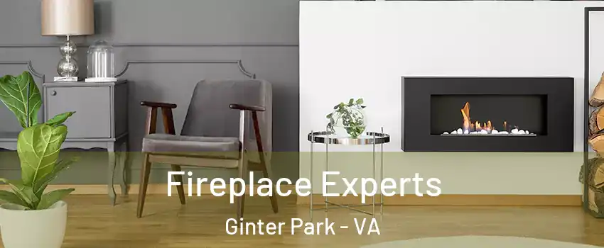 Fireplace Experts Ginter Park - VA