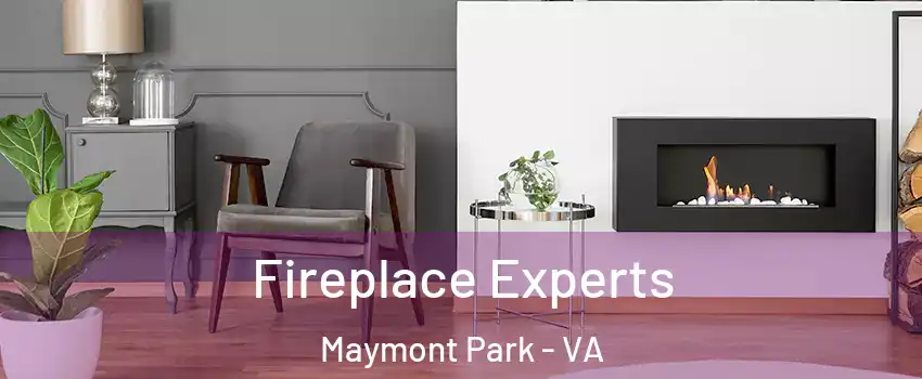 Fireplace Experts Maymont Park - VA