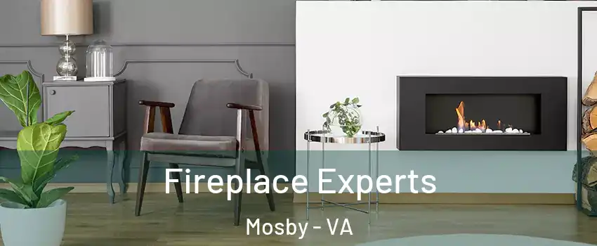Fireplace Experts Mosby - VA