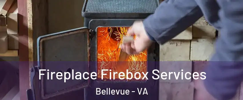 Fireplace Firebox Services Bellevue - VA
