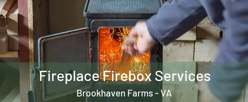 Fireplace Firebox Services Brookhaven Farms - VA