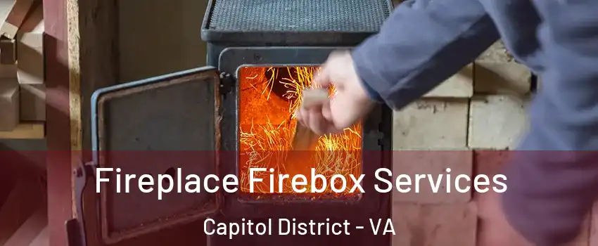 Fireplace Firebox Services Capitol District - VA