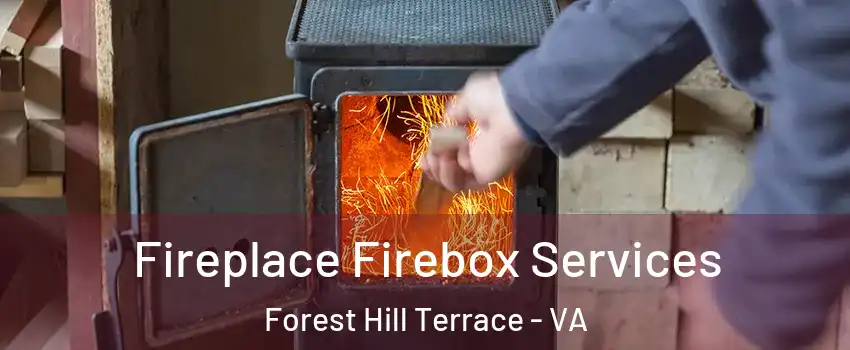 Fireplace Firebox Services Forest Hill Terrace - VA