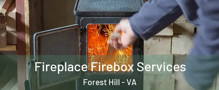 Fireplace Firebox Services Forest Hill - VA