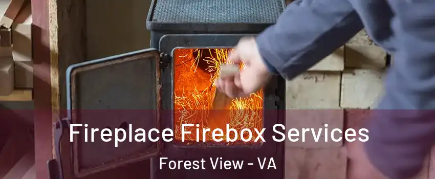 Fireplace Firebox Services Forest View - VA