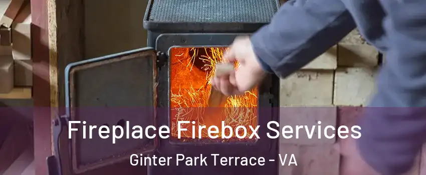 Fireplace Firebox Services Ginter Park Terrace - VA