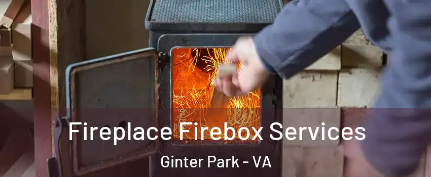 Fireplace Firebox Services Ginter Park - VA