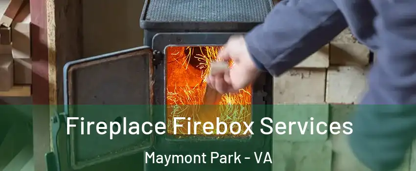 Fireplace Firebox Services Maymont Park - VA