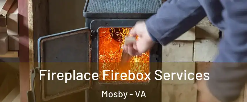 Fireplace Firebox Services Mosby - VA