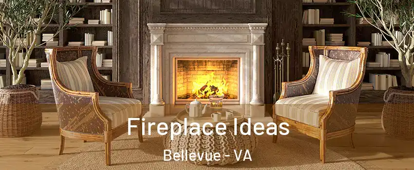 Fireplace Ideas Bellevue - VA