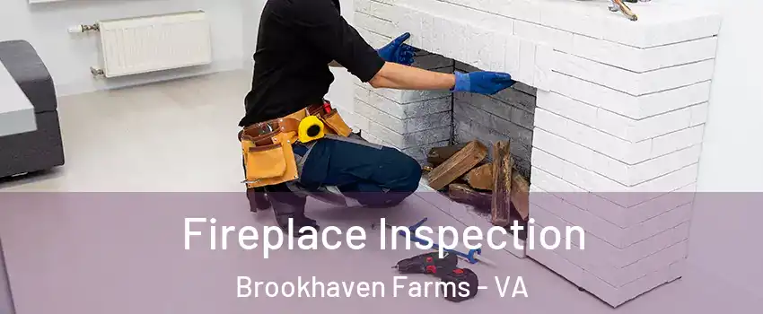 Fireplace Inspection Brookhaven Farms - VA