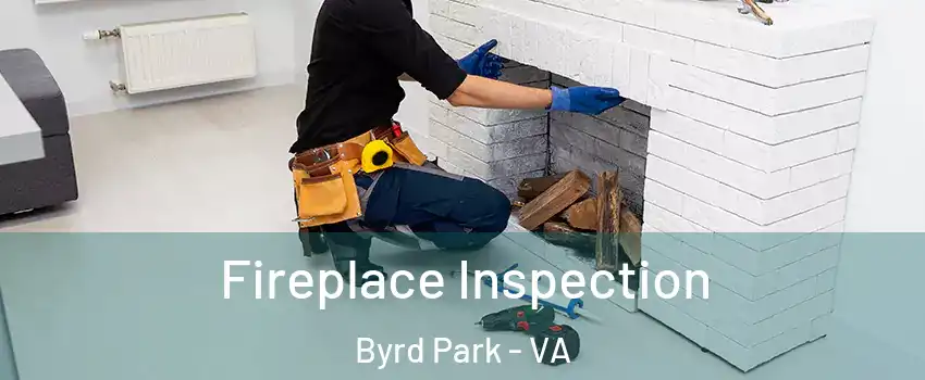 Fireplace Inspection Byrd Park - VA