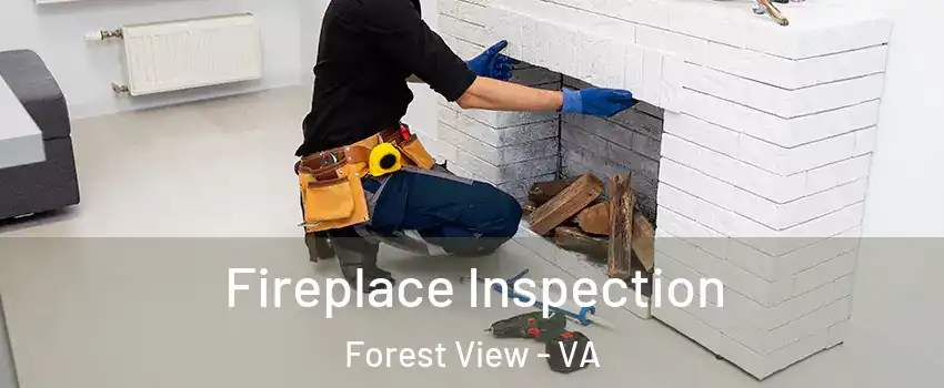 Fireplace Inspection Forest View - VA