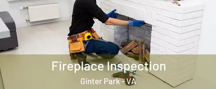 Fireplace Inspection Ginter Park - VA