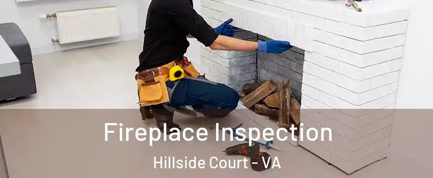 Fireplace Inspection Hillside Court - VA