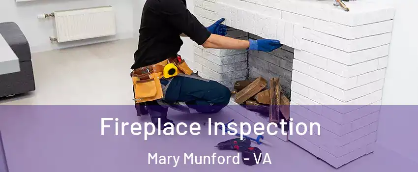 Fireplace Inspection Mary Munford - VA
