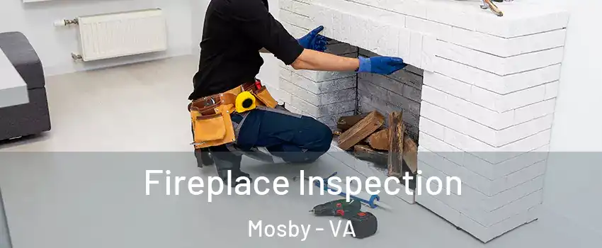 Fireplace Inspection Mosby - VA