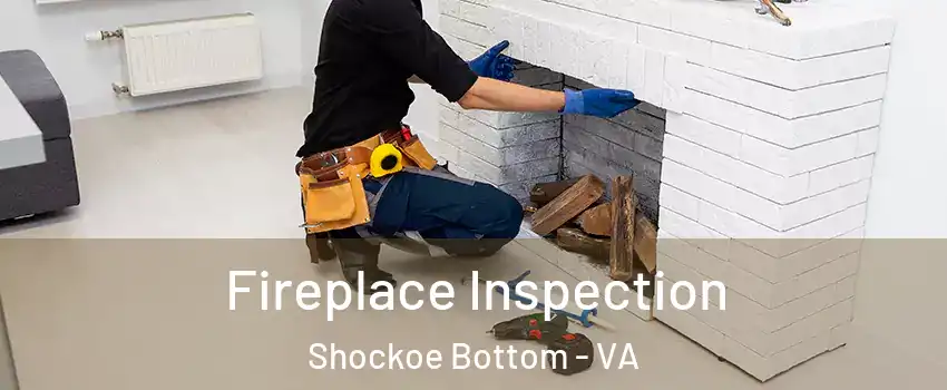 Fireplace Inspection Shockoe Bottom - VA