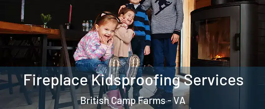 Fireplace Kidsproofing Services British Camp Farms - VA